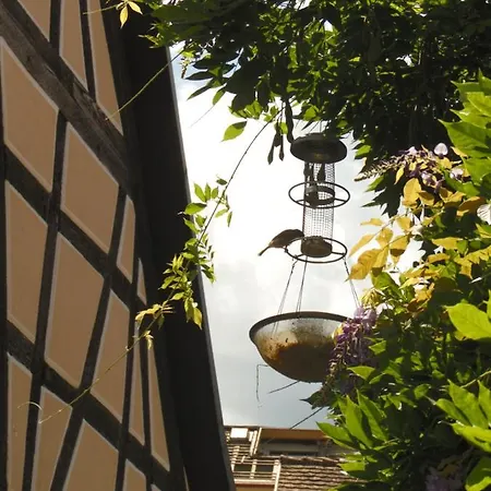 Appartement Amtorli Endingen am Kaiserstuhl